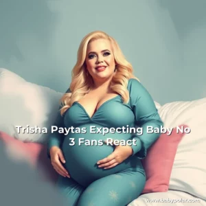 Artistic representation for Trisha Paytas Expecting Baby No 3 Fans React